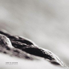 PREMIERE : How To Levitate - Following Paths [Aarden Records]