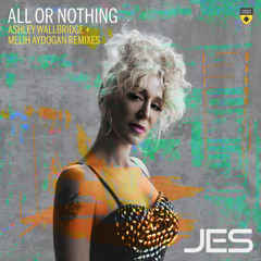 All or Nothing (Ashley Wallbridge Extended Remix)