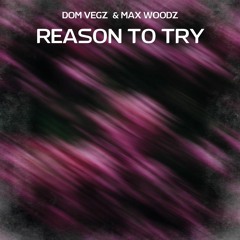 Dom Vegz & Max WoodZ - Reason To Try