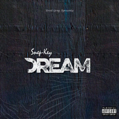 Snepkey - Dream (2021) (Prod. 89Record)