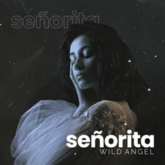 Shawn Mendes, Camila Cabello - Señorita (Hardstyle Remix) [Sped up]
