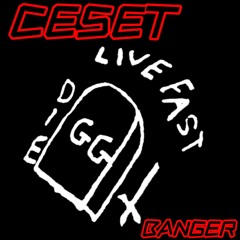 1.25.25 CESET
