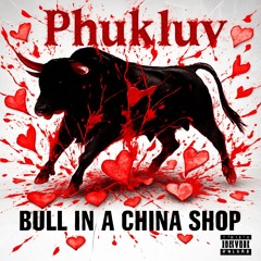 bull-in-a-china-shop.mp3