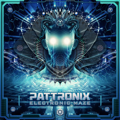 Electronic Maze