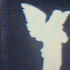 apex - 26
