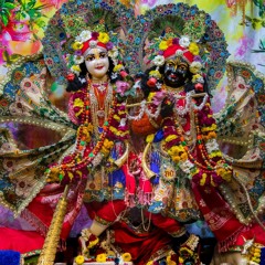 HH Govinda Swami, Akincana Prabhu & Yogi 17.1.21.mp3