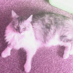 bambino (november 2021)