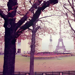 OMG (love) @2012gen @zanelynchetti