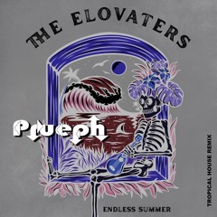 "Endless Summer" The Elovaters (Tropical House Remix)