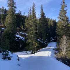 WINTER 2O24/25