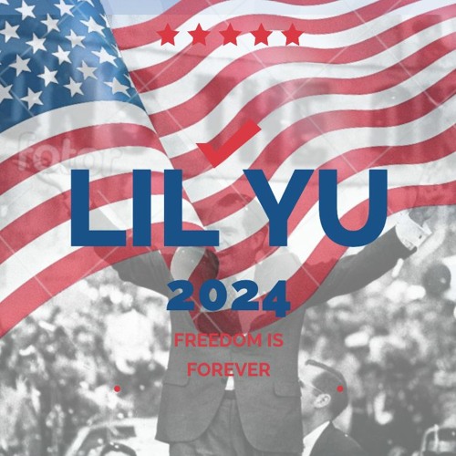 ##LILYU2024