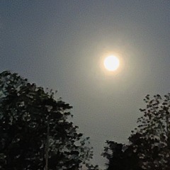 I HAD A STRANGE VISION