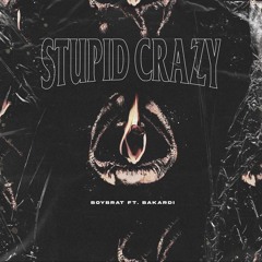 Stupid Crazy ( ft bakardi )