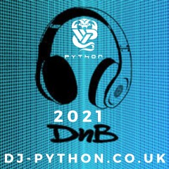 Dj Python - 2021 Drum & Bass Mix (DnB)