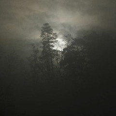 Crushing Rocks In The Forest