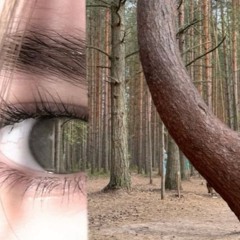 . djembe : all over you