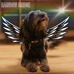 Rainbow Bridge