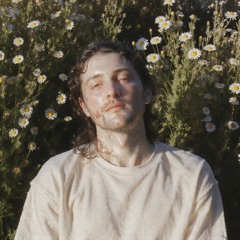 DAISIES (Cavii Cover)