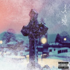 Yellow Snow (Lawton X Cinco)