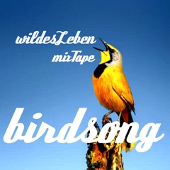birdSong