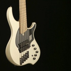 22 Faces Dingwall Drop F# | NeuralDSP - Parallax