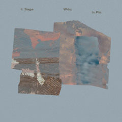 Wading the Plain