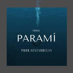 PARAMÍ - TODEK (Prod.PRZ)