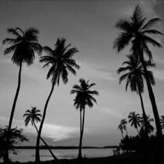 Flatbush Zombies - Palm Trees (CTRemix)