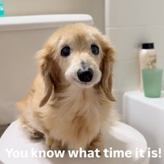 matchbox prod mareci