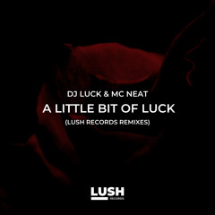 DJ Luck & MC Neat - A Little Bit of Luck Remixes (Darrell Lee House Remix)