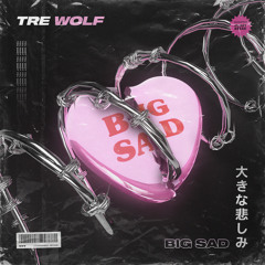 💔💔💔BIG SAD 💔💔💔