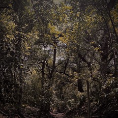 G H O S T / F R A I L