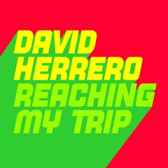 David Herrero - Reaching My Tryp (Extended Mix)