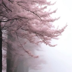 innocence - Daniel Caesar ( best part )