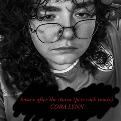 bota x after the storm (pete rock remix)