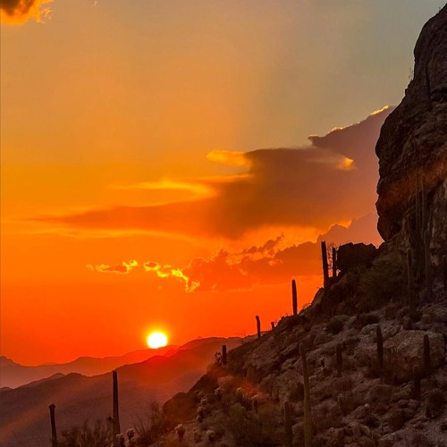 Gates Pass At First Light