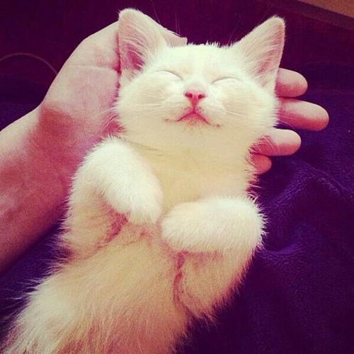 I Hope This Makes U Sad
