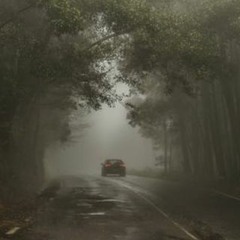 The Music Adventure (vol. 15)