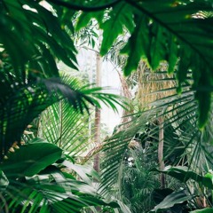 Jack Carter / Lost In Paradise (Intalopa Remix)