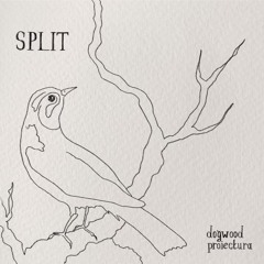 SPLIT!/ with proiectura