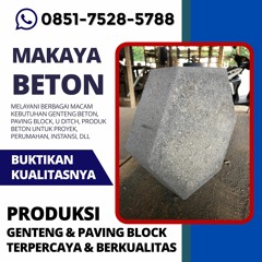 Produsen Paving Hexagonal di Kediri, Call 0851-7528-5788