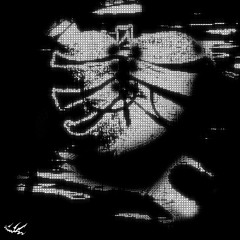 êxodo slowed