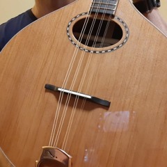 redwood & rosewood, flat-top bouzouki