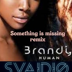 Svaidio & Brandy -Something is missing remix