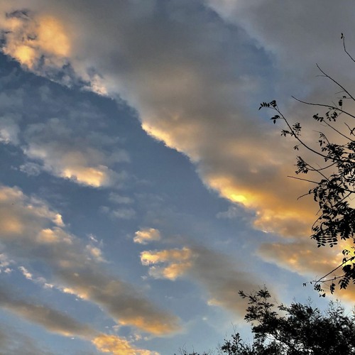 New & hot: Pop - Listen to music