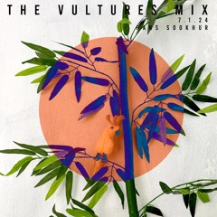 The Vultures Mix by Hans Sookhur