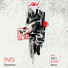 Premiere: TNTS - Dopamine (KIKO Remix) [Jannowitz]