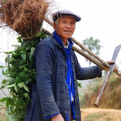 Maybe Yes. Maybe No.