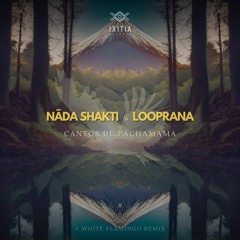 PREMIERE | Nāda Shakti - Memoria Ancestral (Looprana Remix) [Ixitia Records]