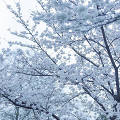 cry-for-me <michita-feat.ami>